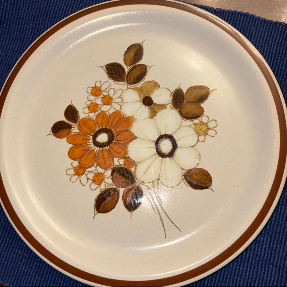 Woodhaven stoneware style Pleasant lot 7 plates 10.75 diameter made Japan - Picture 2 of 6